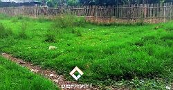 Tanah di Cikajang