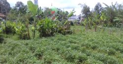 Jual Tanah 200 tumbak Jual Tanah 200 tumbak