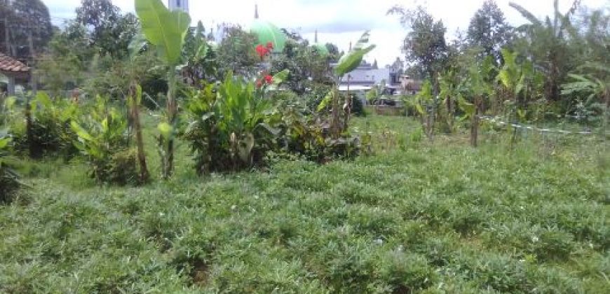 Jual Tanah 200 tumbak Jual Tanah 200 tumbak