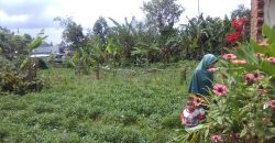 Jual Tanah 200 tumbak Jual Tanah 200 tumbak