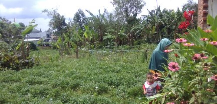 Jual Tanah 200 tumbak Jual Tanah 200 tumbak