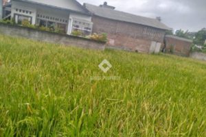 jual tanah pinggir jalan terusan pembangunan